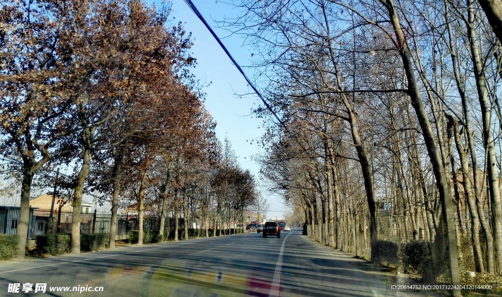 夕阳下的乡村道路风景