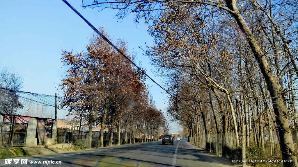 夕阳下的乡村道路风景