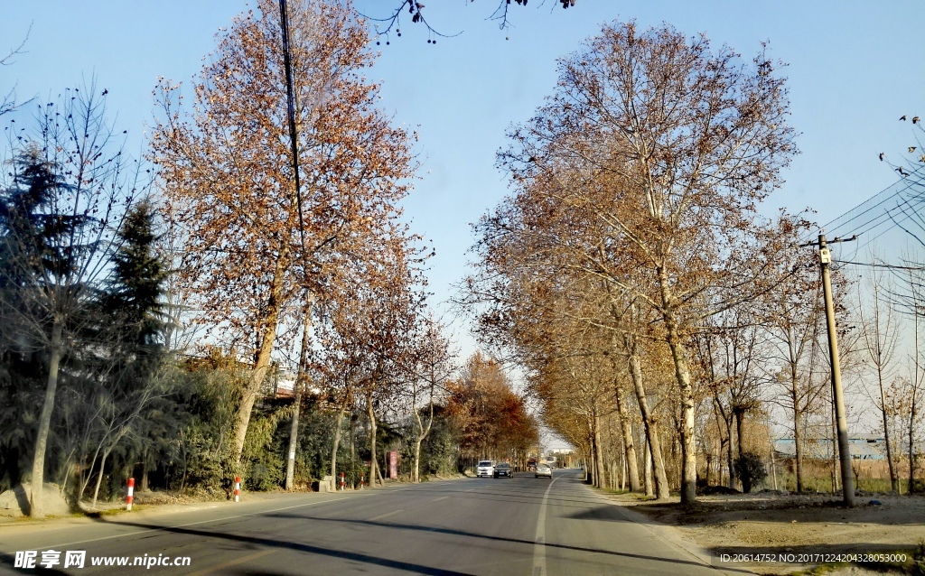 夕阳下的乡村道路美景