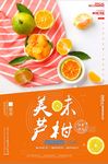 创意小清新芦柑海报设计