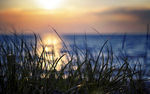 夕阳河边风景