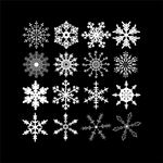 雪花