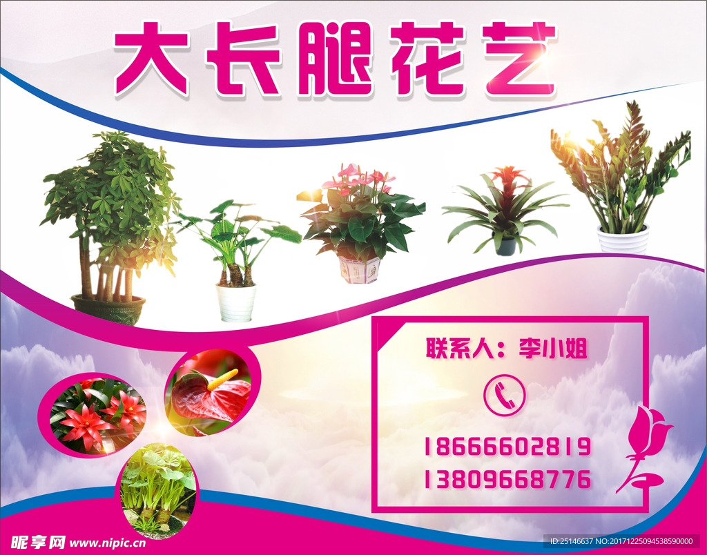 花艺背景