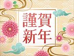 谨贺新年祥云花卉中国风新春海报