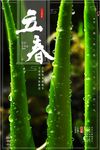 立春二十四节气春笋海报