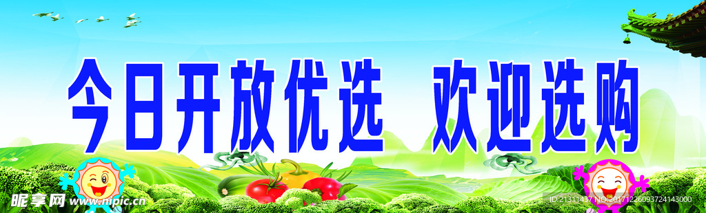 今日开放优选  欢迎选购副本