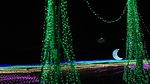 夜景