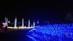 夜景