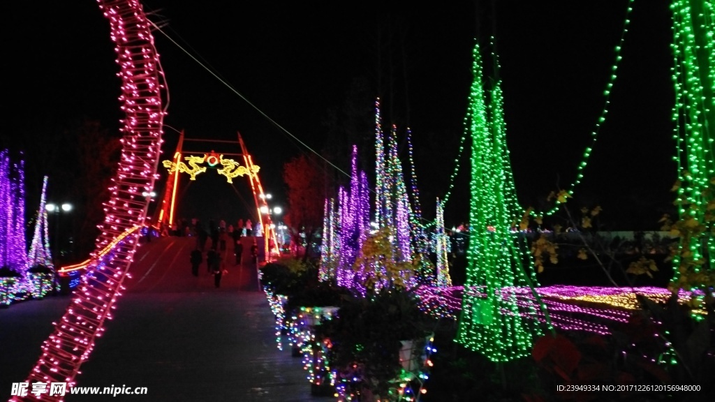 兰花公园夜景