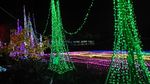 绵阳国际兰花主题公园