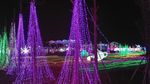 兰花公园