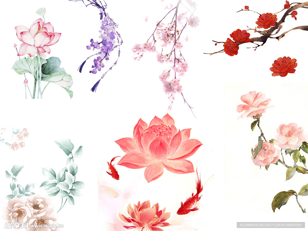 中国风花朵梅花荷花桃花金鱼PS