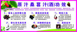 酒  桑葚 养生 桑葚汁