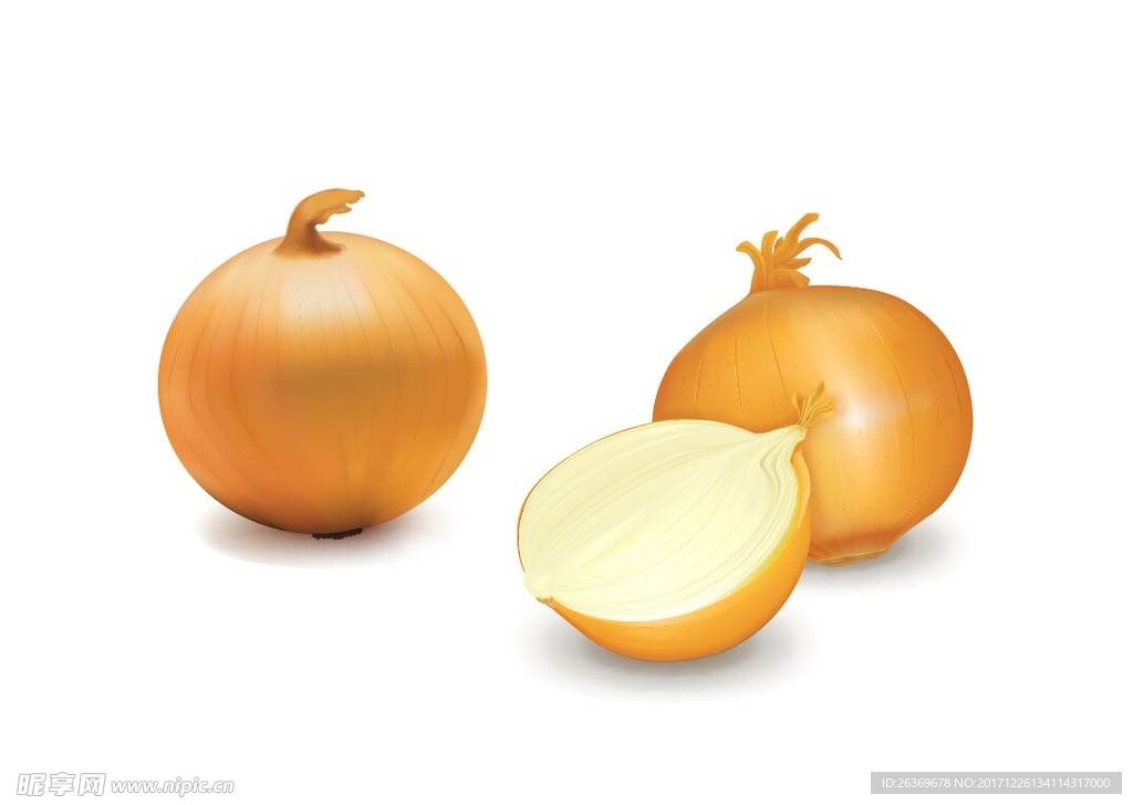 圆葱