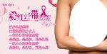 关爱女性乳房健康