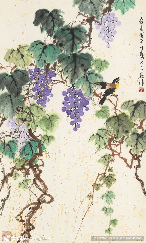 葡萄鸣禽