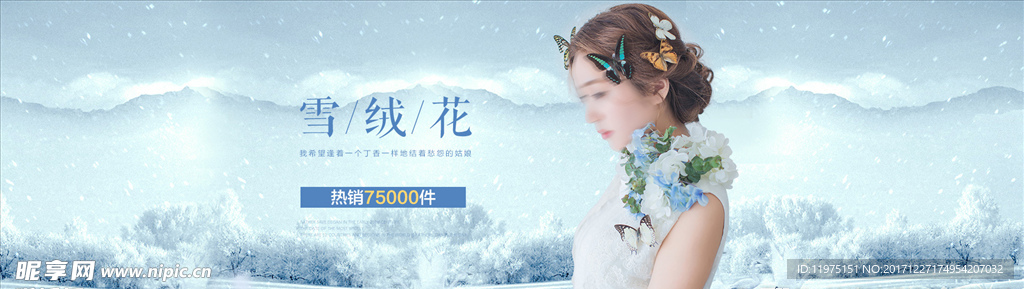 雪绒花
