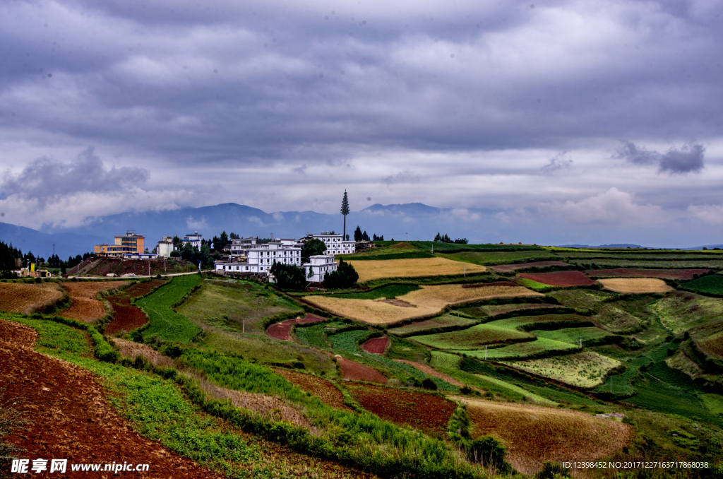 东川红土地