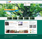 绿色企业网站首页