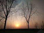 夕阳 黄昏