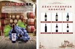 葡萄酒