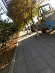 道路