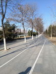 冬季道路