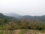 山头