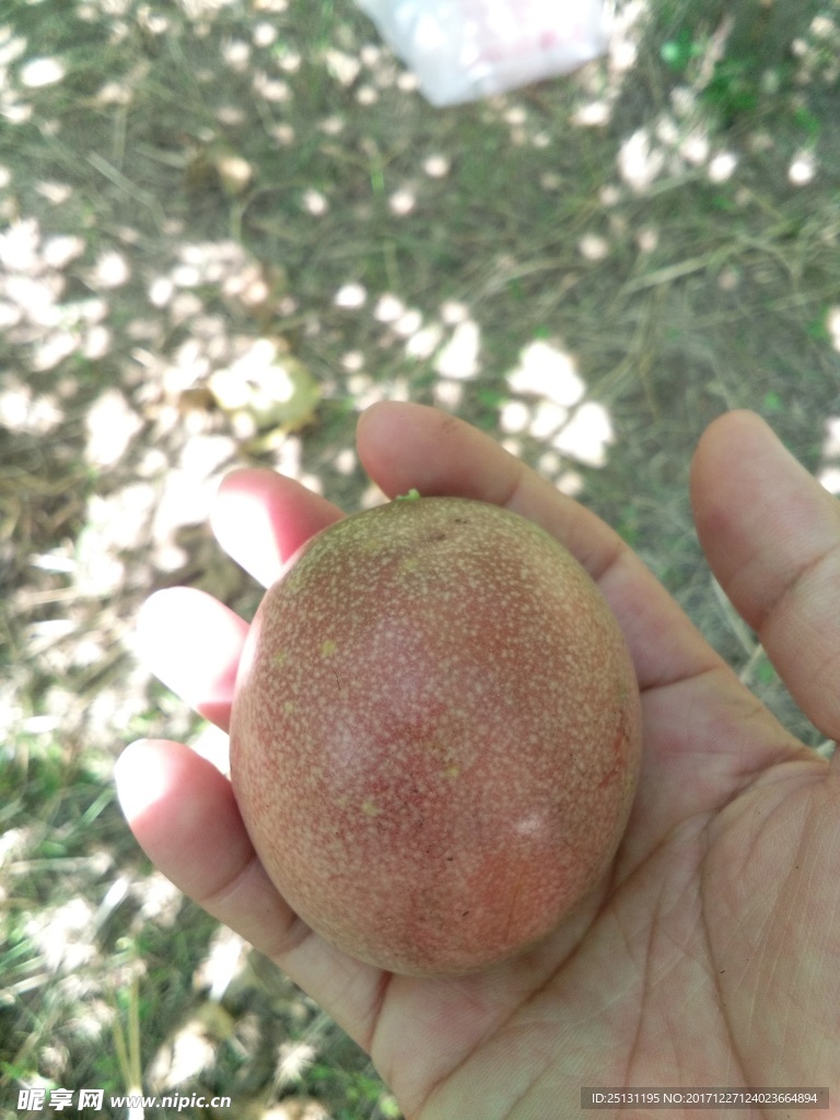 百香果