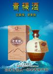 青稞酒海报