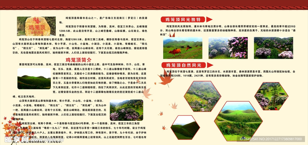 双滘鸡笼顶