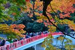 香岚桥