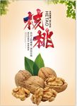 农家土特产核桃海报