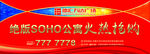 SOHU 公寓 抢购 房产