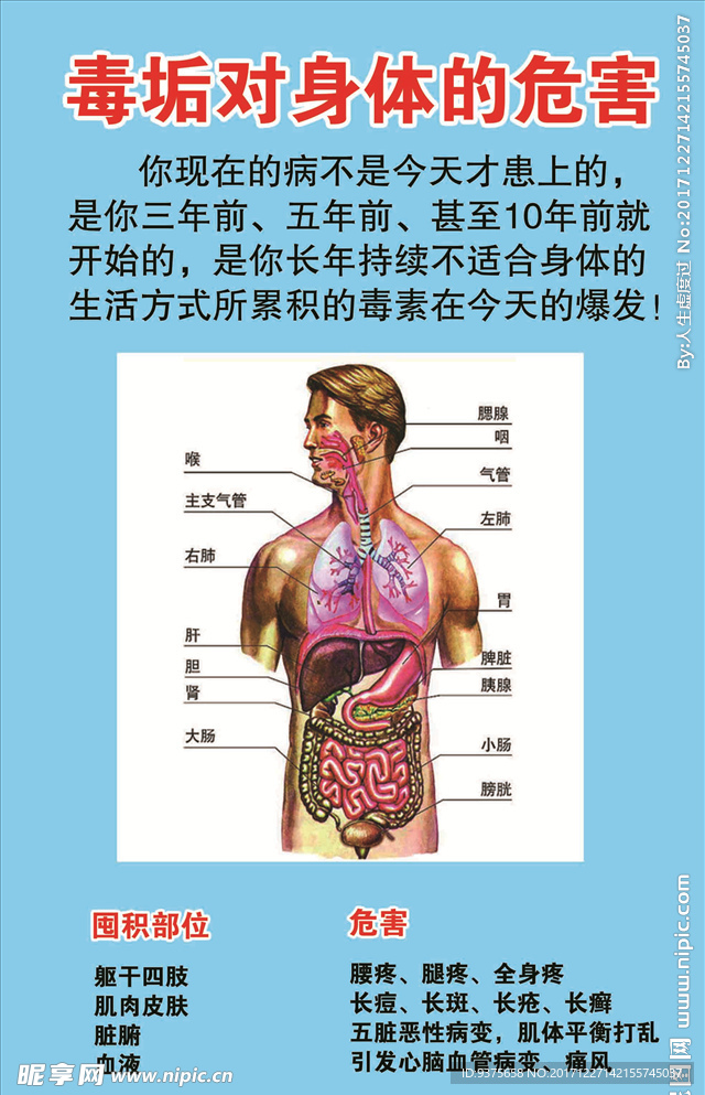 毒垢对身体的危害