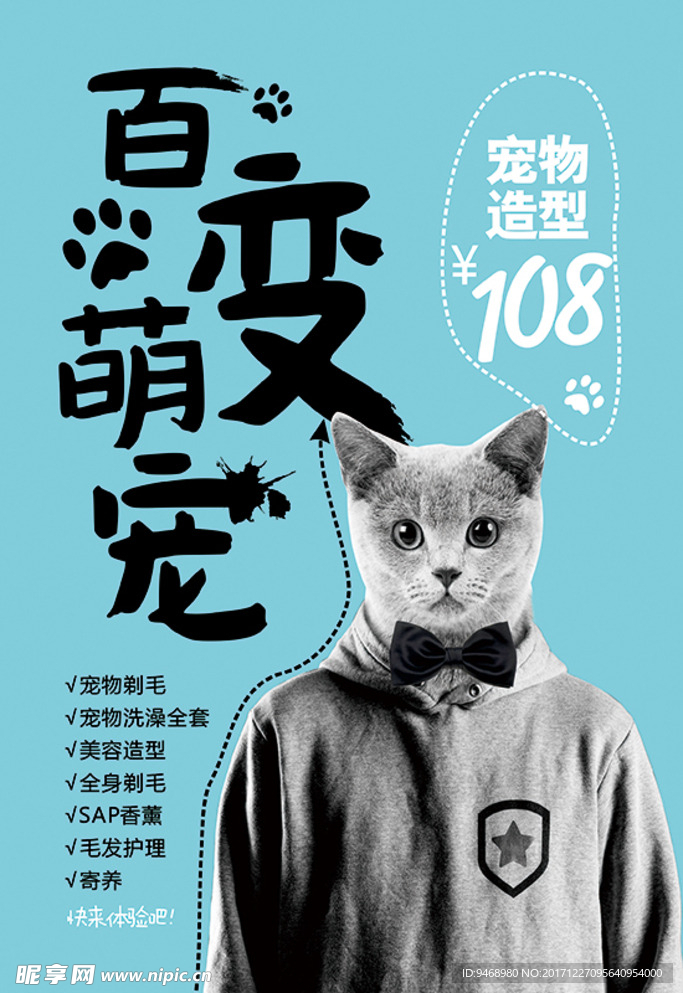 宠物海报·