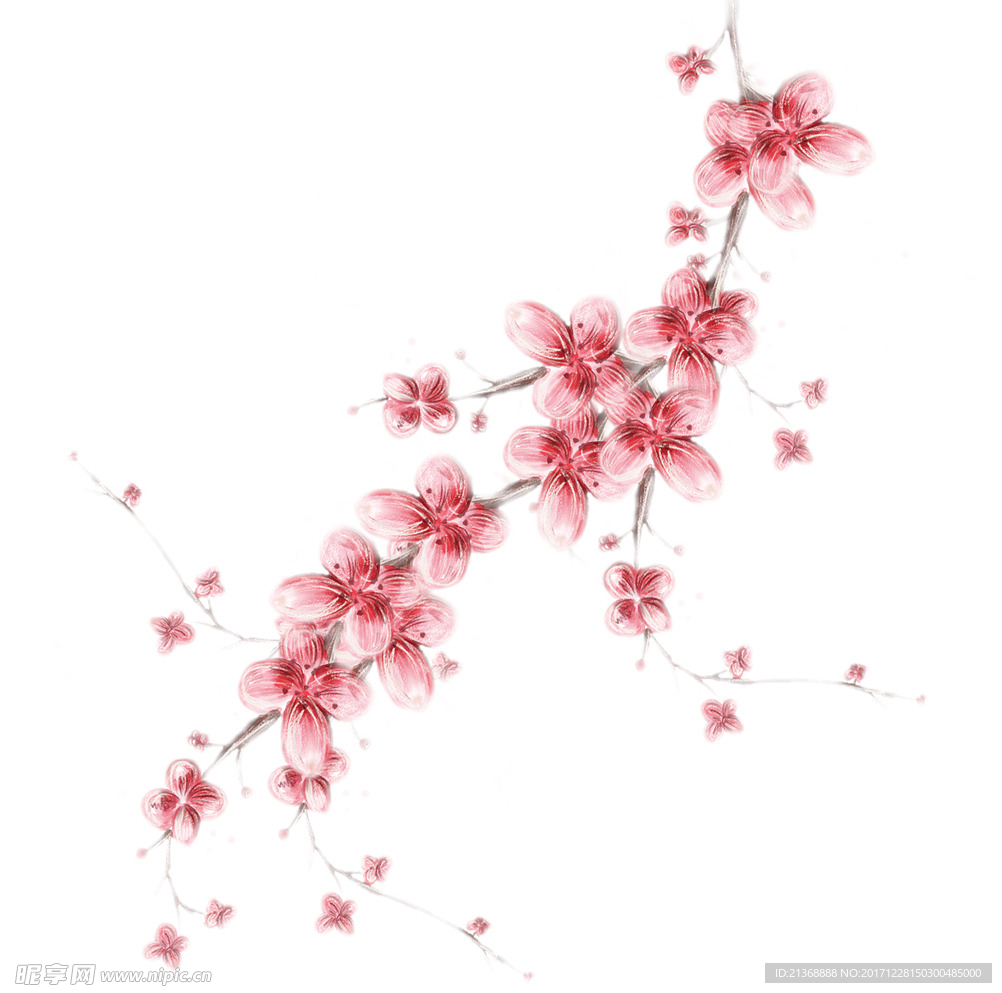 桃花花枝