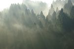 意境山景