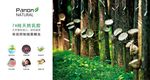 泰国乳胶枕头 进口枕头展架