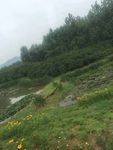 江南风景