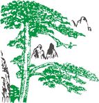 迎客松