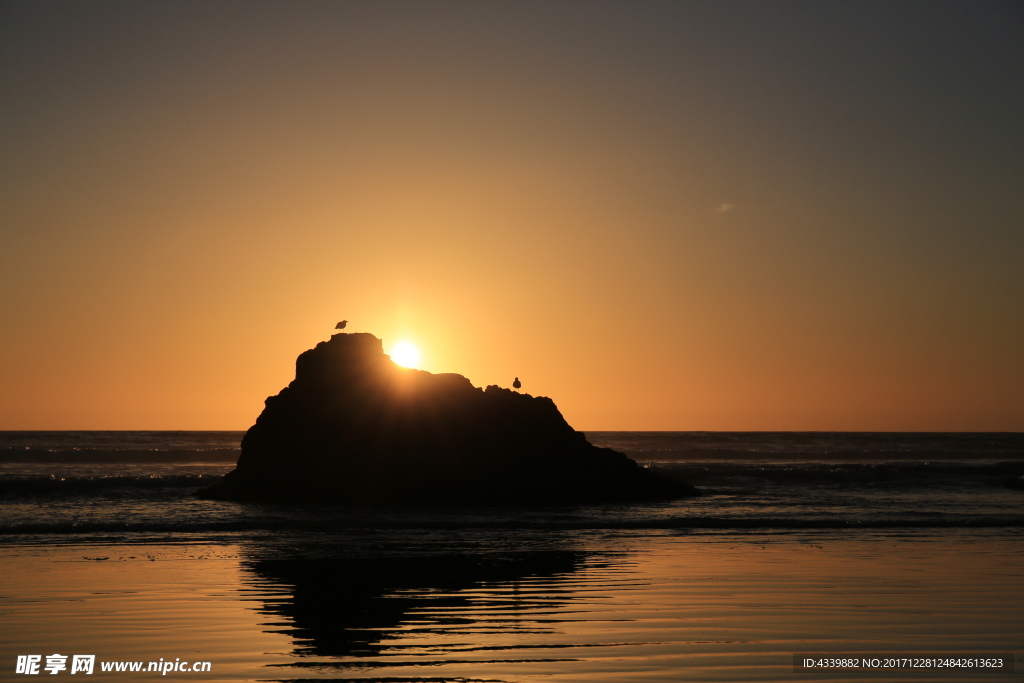 夕阳海鸥