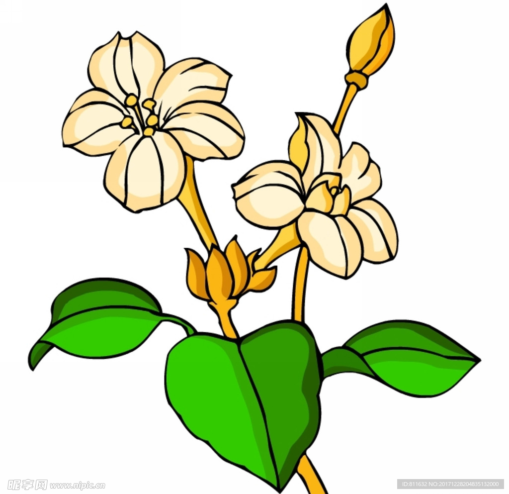 黄色小花