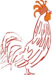鸡