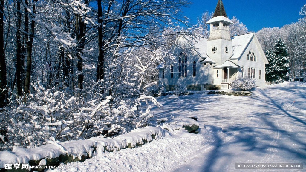 雪景