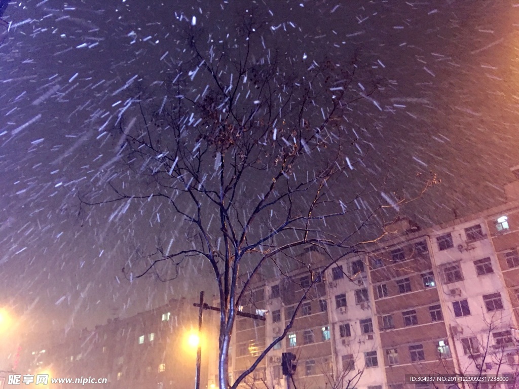 下雪的夜晚