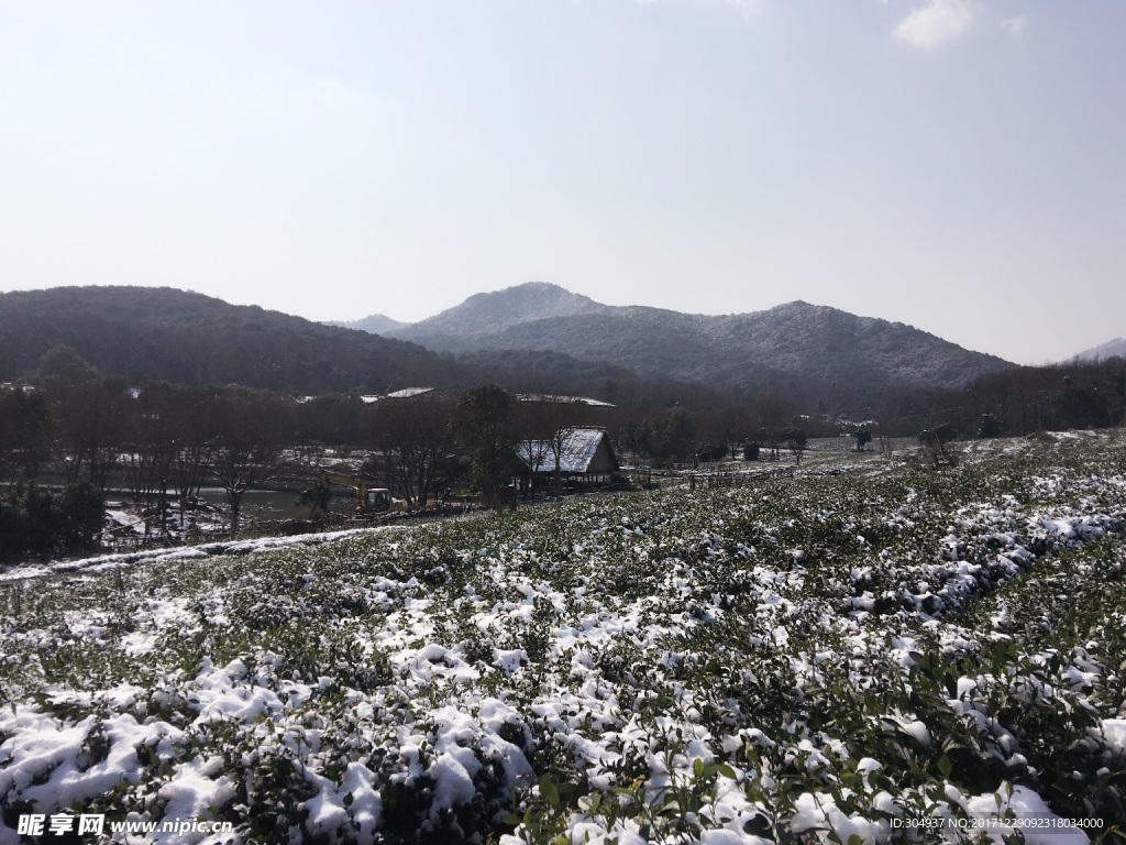 雪地美景