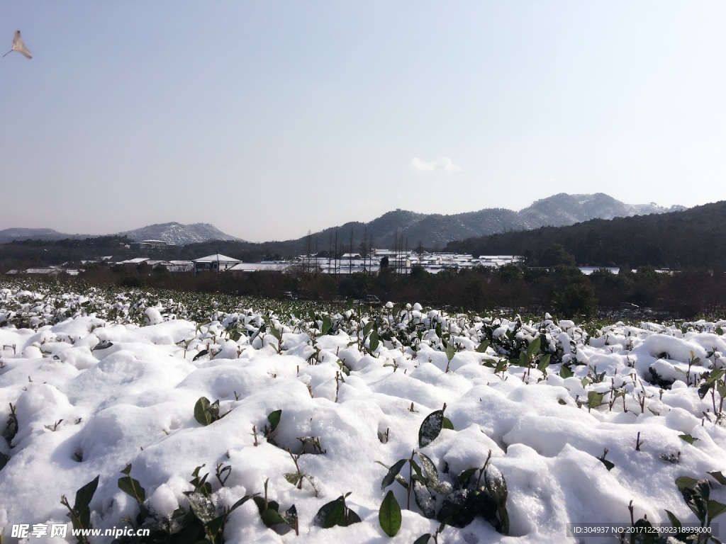 西湖雪景