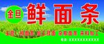 金旦鲜面条