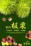 板栗海报